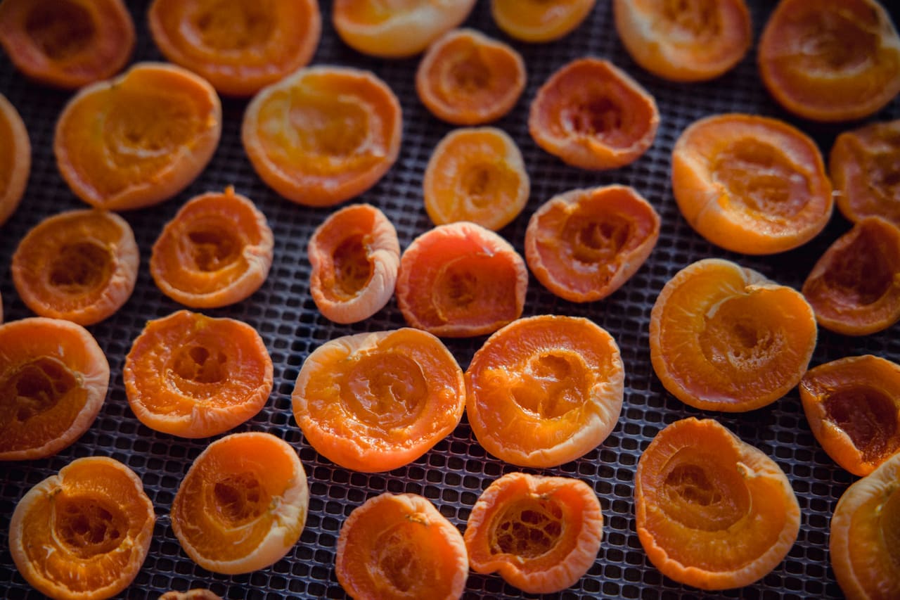 Halved apricots laid out in rows on a drying tray